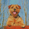 Norfolk Terrier Diamond Painting