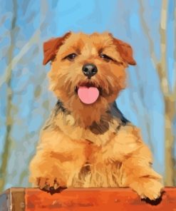 Norfolk Terrier Diamond Painting