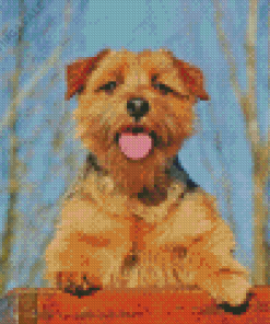 Norfolk Terrier Diamond Painting