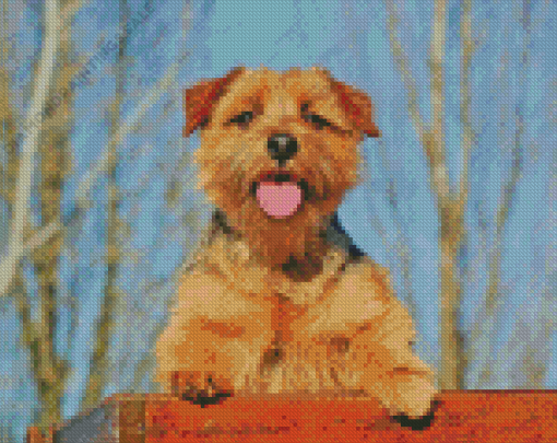 Norfolk Terrier Diamond Painting