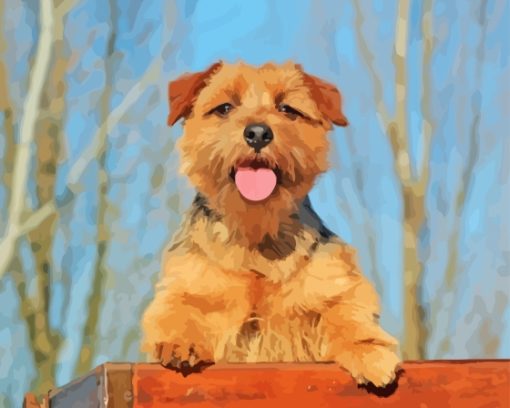 Norfolk Terrier Diamond Painting