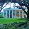 Oak Alley Plantation Diamond Painting