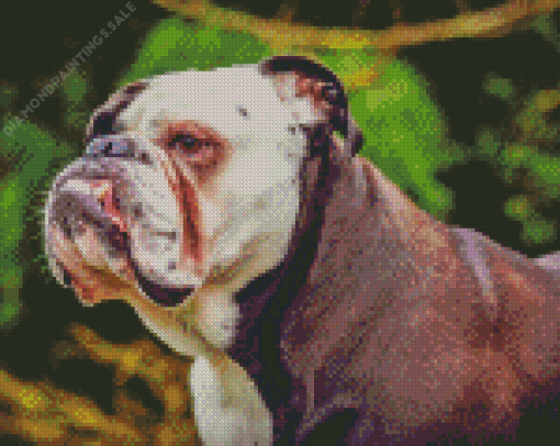 Old English Bulldog Diamond Painting