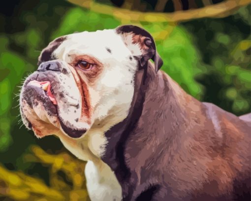 Old English Bulldog Diamond Painting