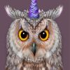 Owl Bird With Unicorn Diamond By Numbers