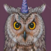 Owl Bird With Unicorn Diamond By Numbers