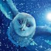 Owl Of Harry Potter Diamond Painting