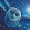 Owl Of Harry Potter Diamond Painting