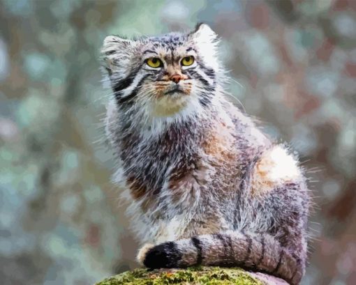 Pallas Cat Diamond Painting