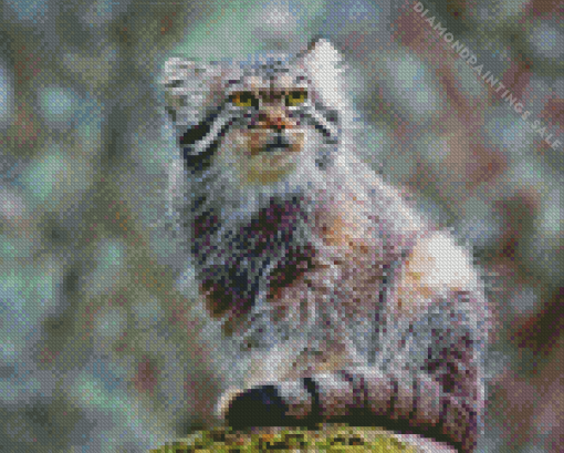 Pallas Cat Diamond Painting