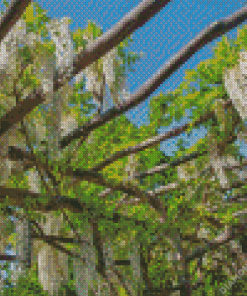 Pergola Vines Diamond Painting