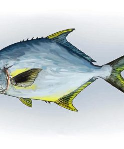 Pompano Fish Art Diamond Paintings