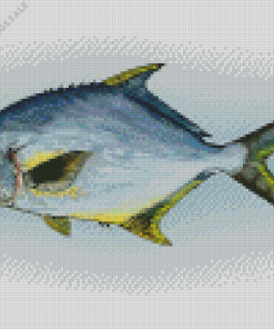 Pompano Fish Art Diamond Paintings