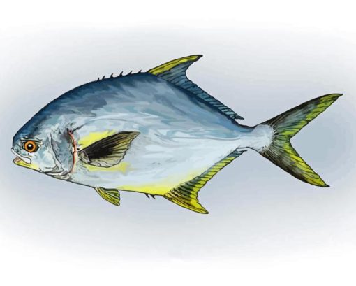 Pompano Fish Art Diamond Paintings