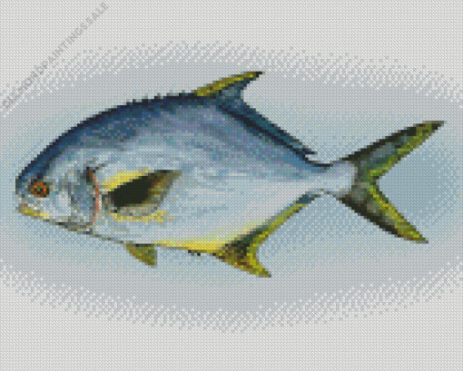 Pompano Fish Art Diamond Paintings