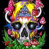 Psychedelic Skull Diamond Painting