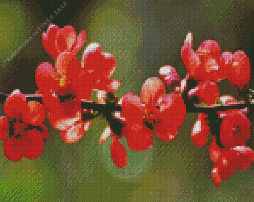 Red Blossom Diamond Painting