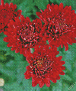 Red Chrysanthemum Flowers Diamond Painting