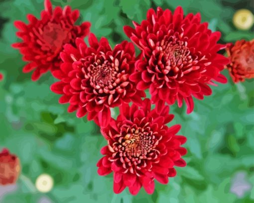 Red Chrysanthemum Flowers Diamond Painting