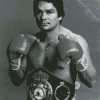 Roberto Duran Diamond Painting