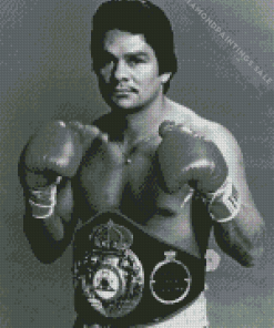 Roberto Duran Diamond Painting