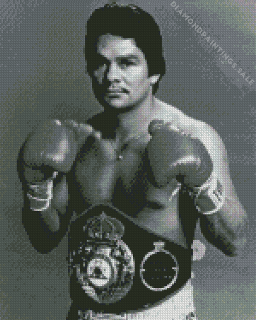 Roberto Duran Diamond Painting