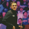 Ronnie Osullivan Diamond Paints