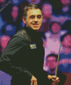 Ronnie Osullivan Diamond Paints