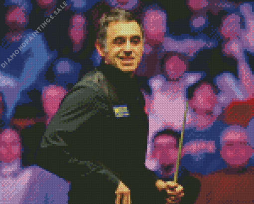 Ronnie Osullivan Diamond Paints