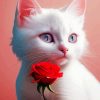 Rose And White Cat Diamond Painting