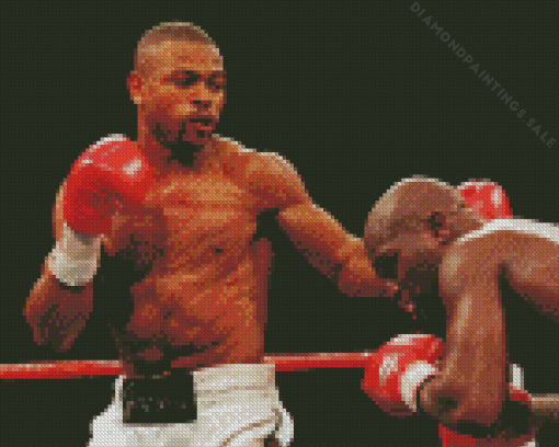 Roy Jones Junior Diamond Painting