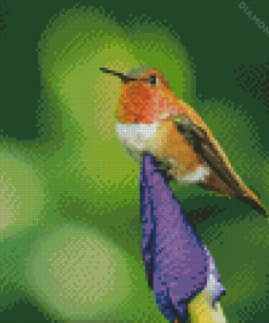 Rufous Hummingbird On Plant Diamond Painting