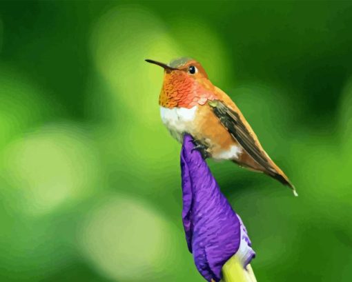 Rufous Hummingbird On Plant Diamond Painting