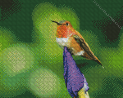 Rufous Hummingbird On Plant Diamond Painting