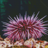 Sea Urchin Underwater Diamond Painting