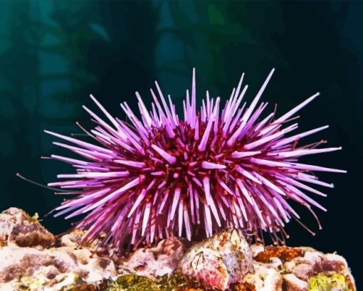 Sea Urchin Underwater Diamond Painting