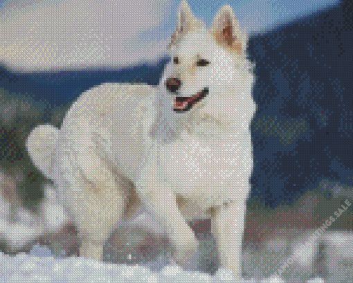 Shepherd Dog In Snow Diamond Painting