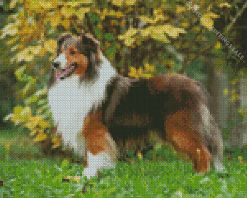 Shetland Dog Diamond Painting