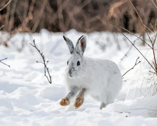 Snowshoe Hare Diamond Painting