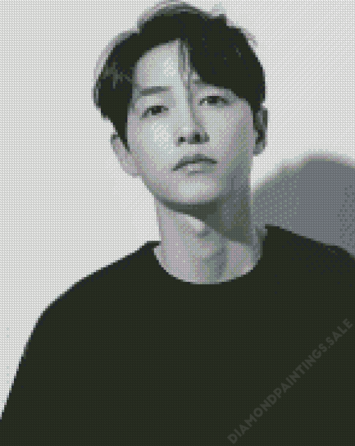 Song Joong Ki Diamond Painting