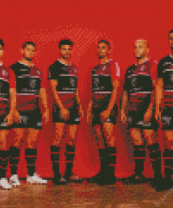 Stade Toulousain Team Diamond Painting