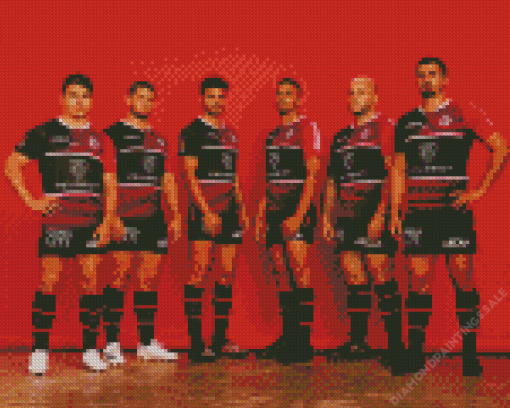 Stade Toulousain Team Diamond Painting