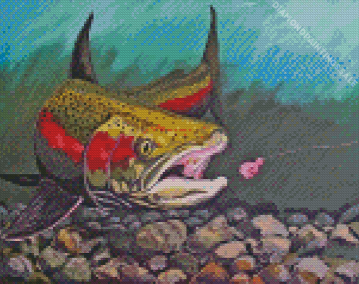 Steelhead Trout Art Diamond Painting