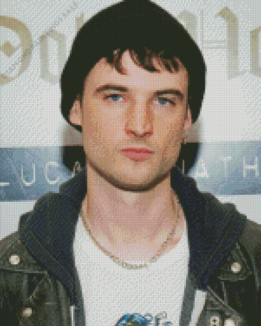 Tom Sturridge Diamond Painting