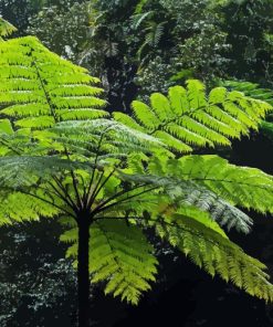 Tree Fern Diamond Painting