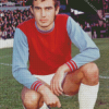 Trevor Brooking Diamond Painting