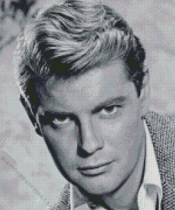 Troy Donahue Diamond Painting