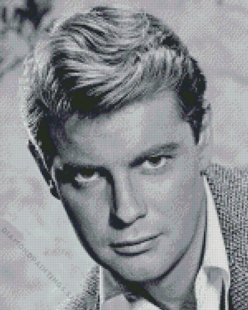 Troy Donahue Diamond Painting