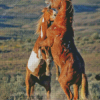 Wild Horses Diamond Painting