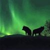 Wolves Silhouette in Northern Lights Diamond Painting